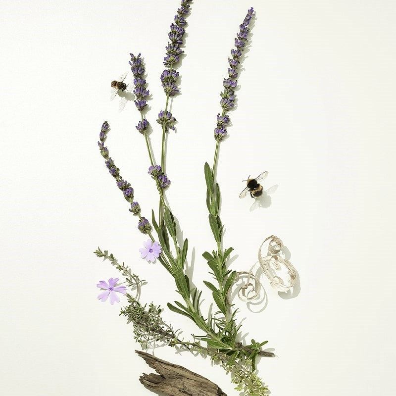 English Lavender Flora Reed Diffuser