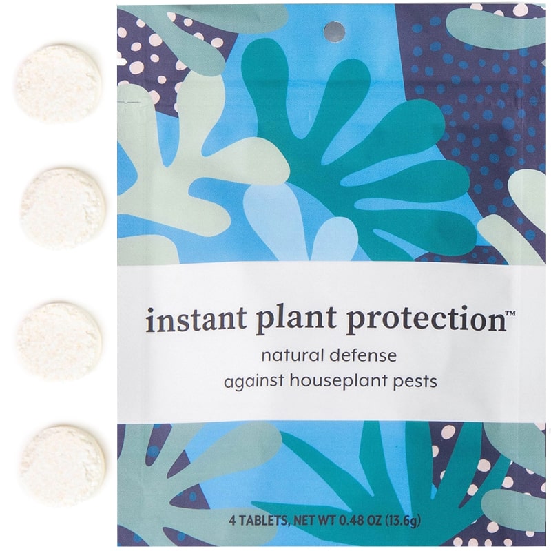 Plant Protection - Indoor & Houseplant Pest Control