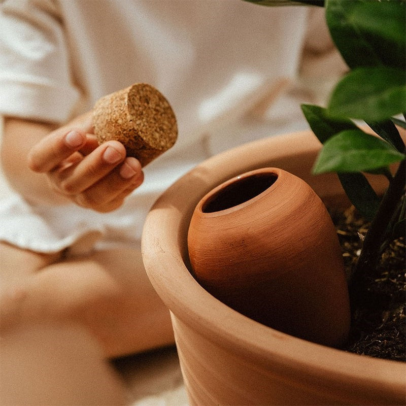 Hydrating Olla - Terracotta